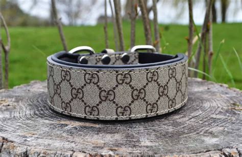 gucci inspired dog collars